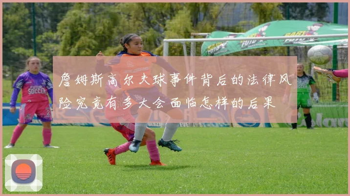詹姆斯高尔夫球事件背后的法律风险究竟有多大会面临怎样的后果